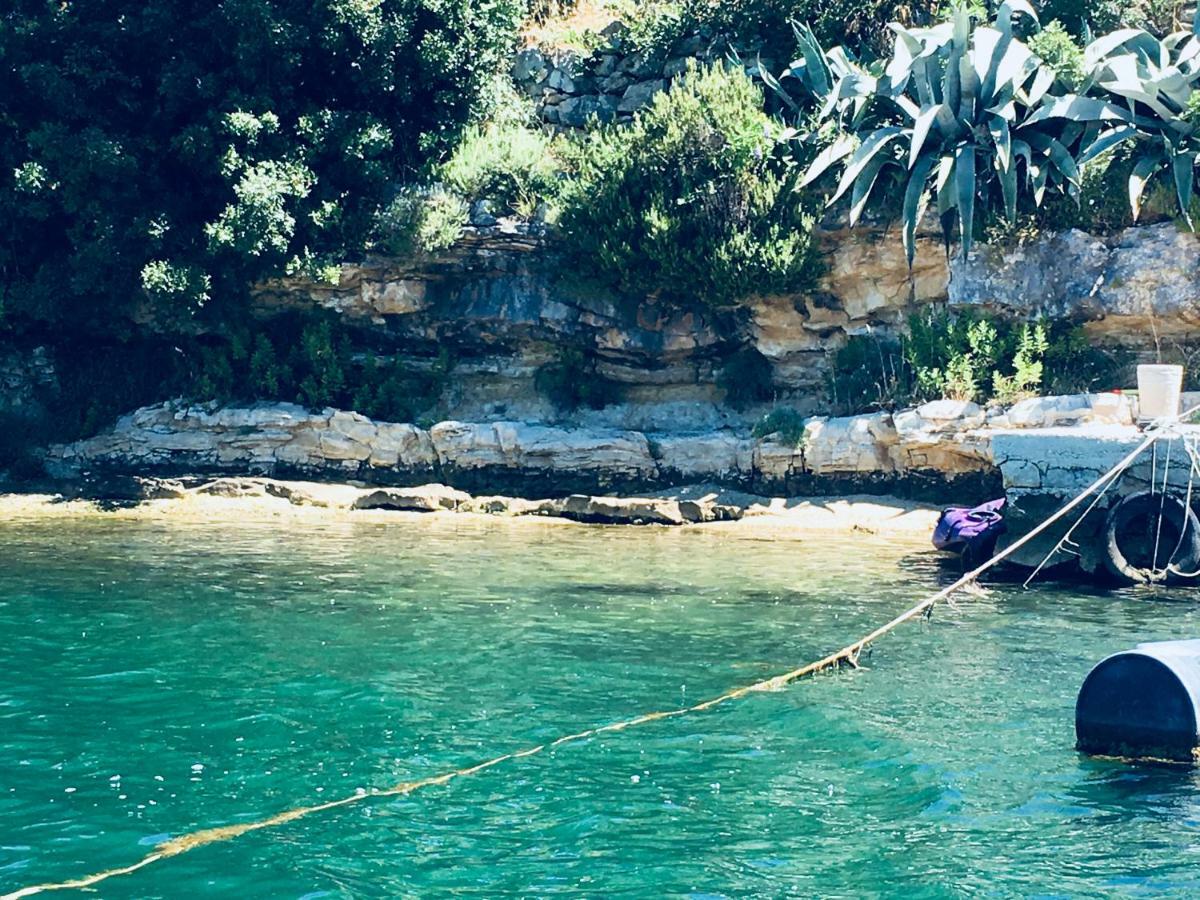 Dama Διαμέρισμα Obrovac Εξωτερικό φωτογραφία